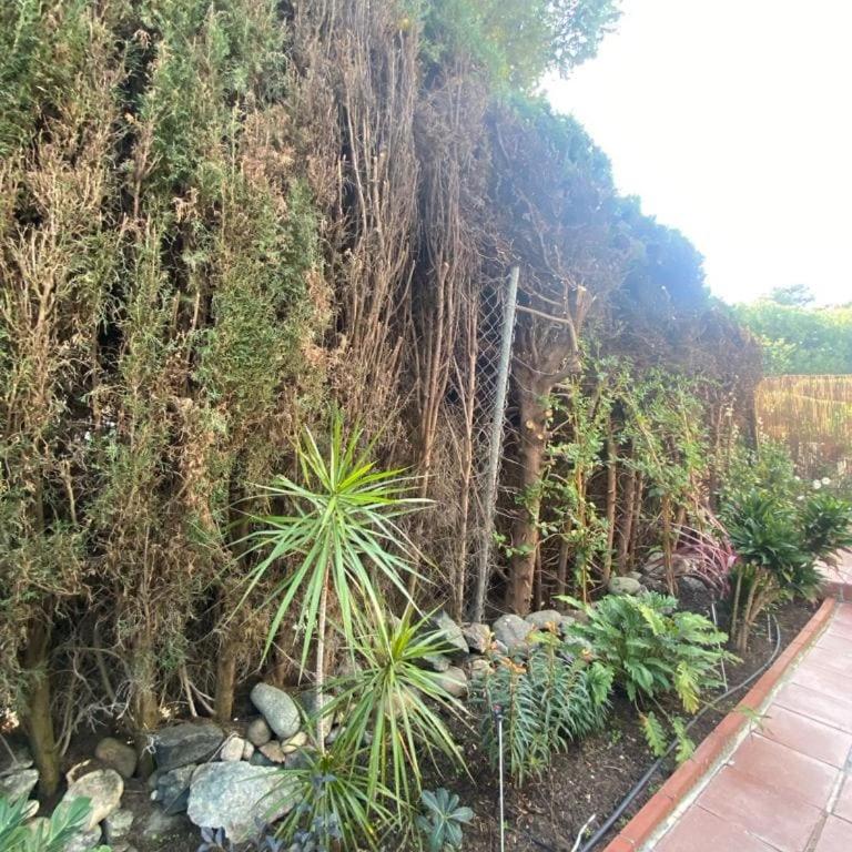 Comfortable apartment near the sea - Apartamento de 3 dormitorios - 34