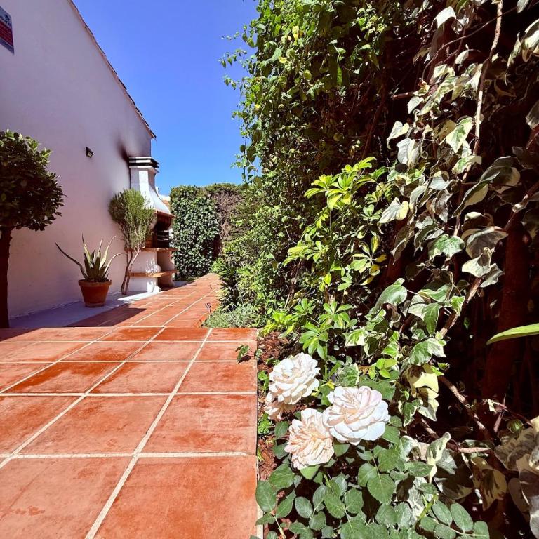 Comfortable apartment near the sea - Apartamento de 3 dormitorios - 53