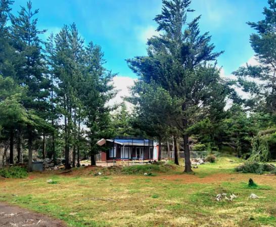 Cabaña Río Claro - Casa de 2 dormitorios - 11