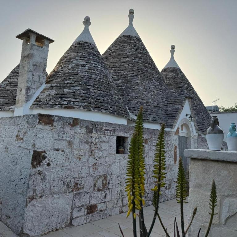 Trulli Foggia dell'Albero - Casa con 1 Camera da Letto - 56