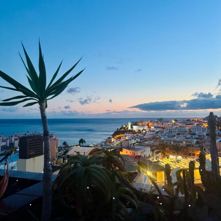 Penthouse with Ocean View & Rooftop Terrace - Apartamento de 1 dormitorio - 2