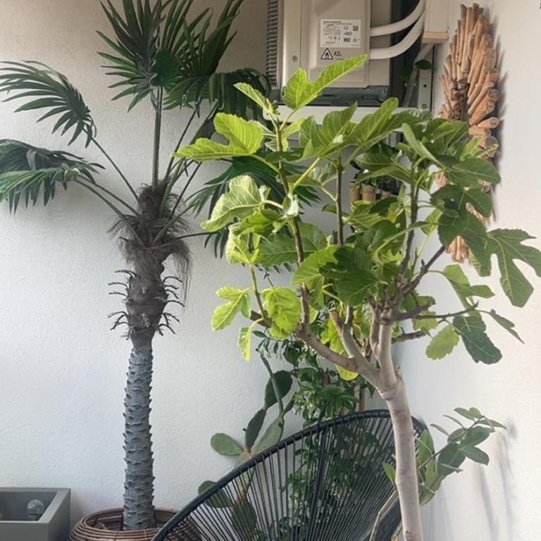 L'épi avec vue Mer -parking en sous sol - wifi - Plage à 50m - Appartamento con 2 Camere da Letto e Vista Mare - 28