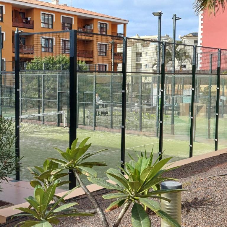 Apartamento Ático Emilia - Two-Bedroom Apartment with Balcony and Terrace - 30