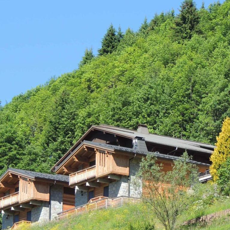 Chalet familial 3 étoiles, 6 pers, Les Gets - FR-1-598-24 - Chalet (6 Adulti) - 17