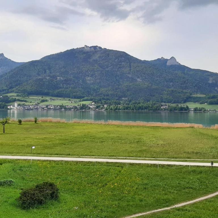 Wolfgangseeblick am Pilznerhof - Appartement 1 Chambre - 3