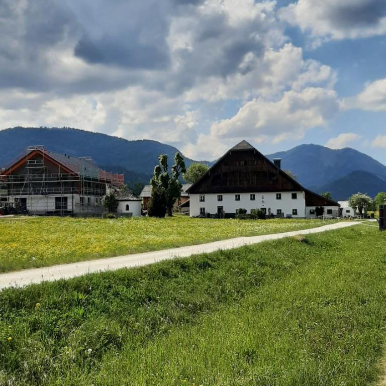 Wolfgangseeblick am Pilznerhof - Appartement 1 Chambre - 5