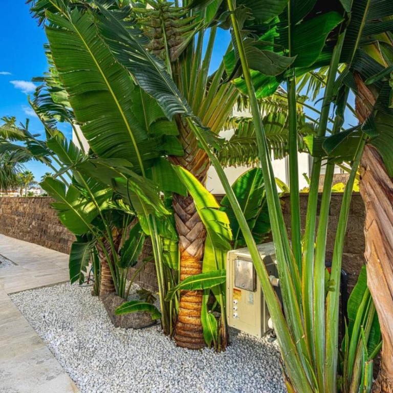 Prime location 5-bedroom villa, Playa Del Duque - Casa - 26