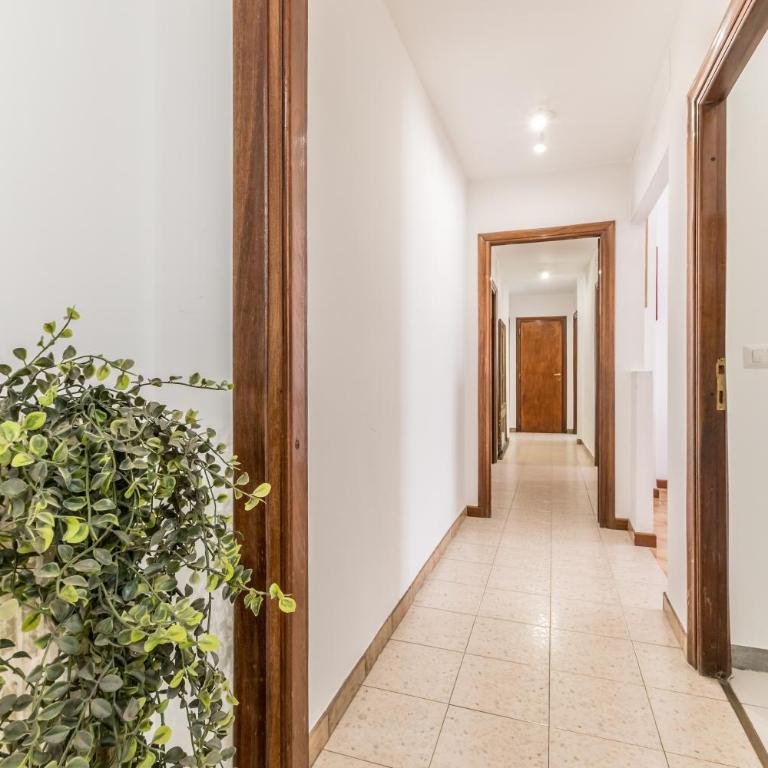 Migiurtinia Trieste Retreat - Appartamento - 21