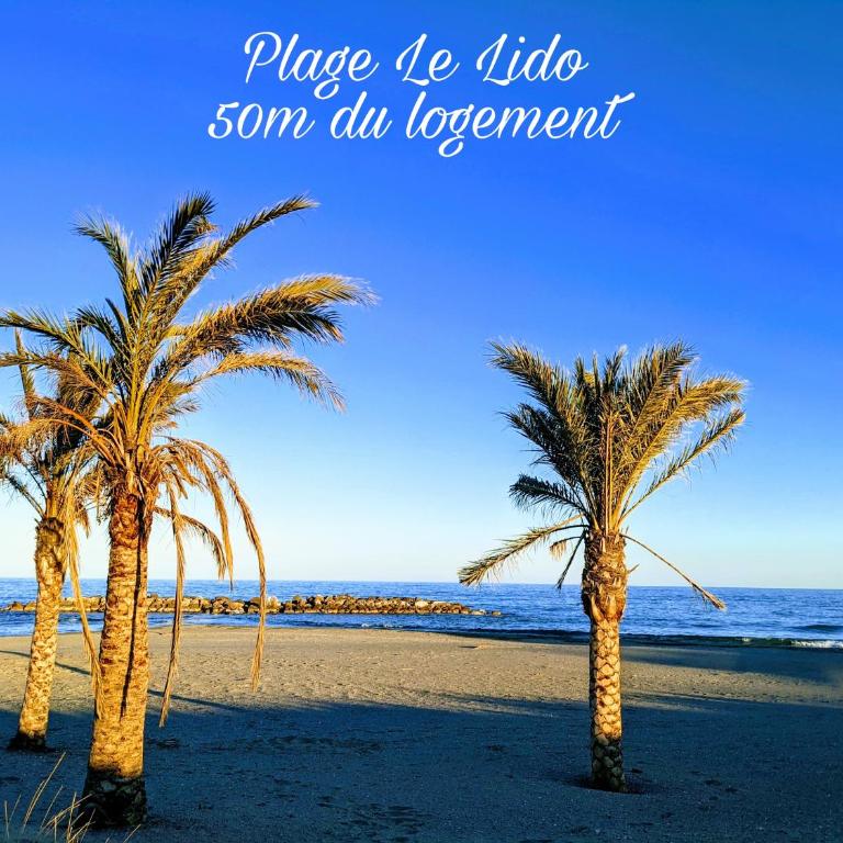 Charmant logement plain pied climatisé, 100 m de plage - Apartment mit 2 Schlafzimmern - 12