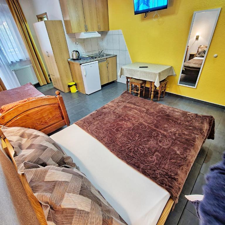 Vila Aleksandra 1 Sokobanja - Studio sa Balkonom - 6