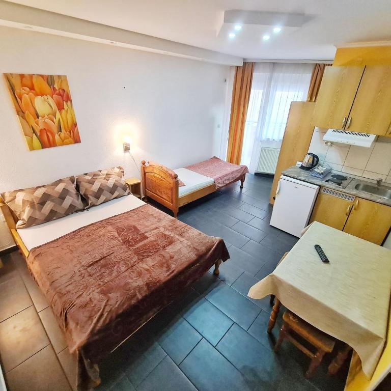 Vila Aleksandra 1 Sokobanja - Studio sa Balkonom - 7