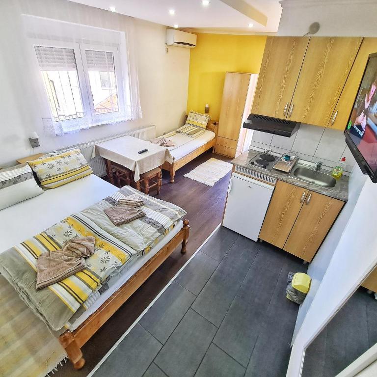 Vila Aleksandra 1 Sokobanja - Studio sa Terasom - 11