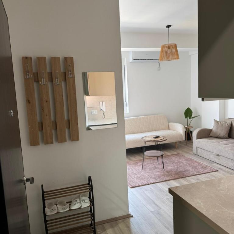 Apartman Vera Jagodina - Apartman sa 1 Spavaćom Sobom - 17
