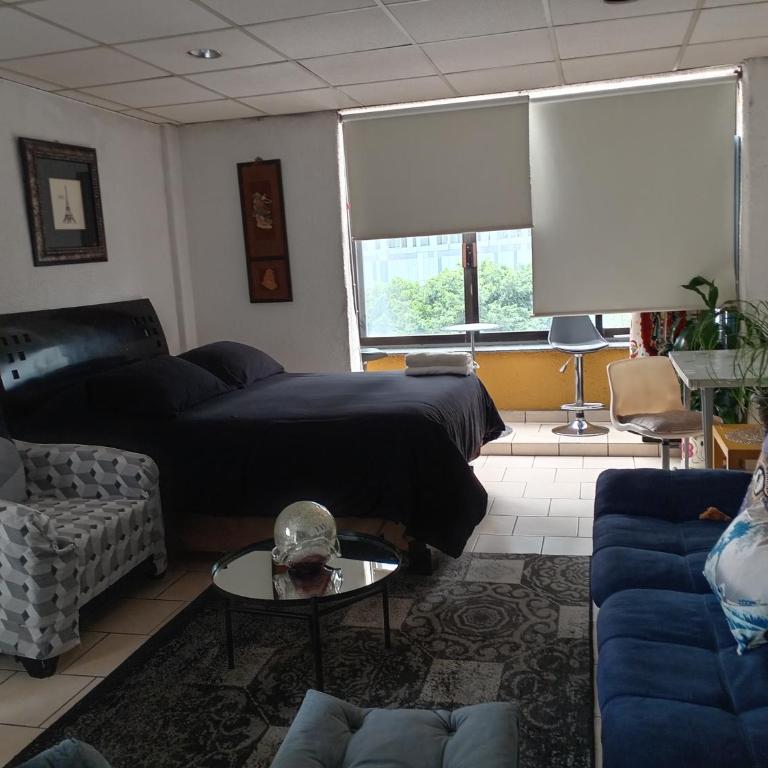 Suite Vista Reforma - Suite Executive - 33