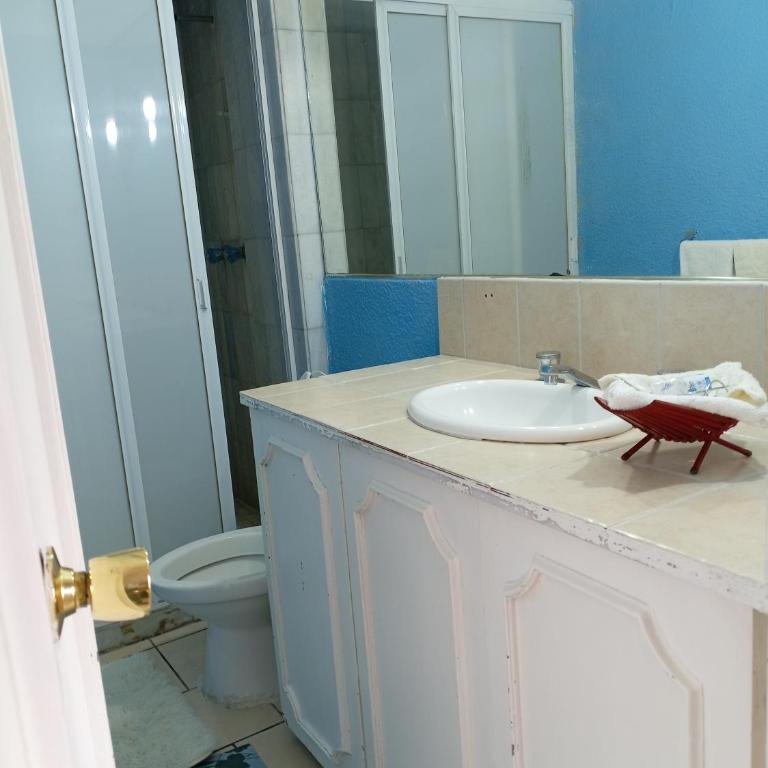 Suite Vista Reforma - Suite Executive - 37