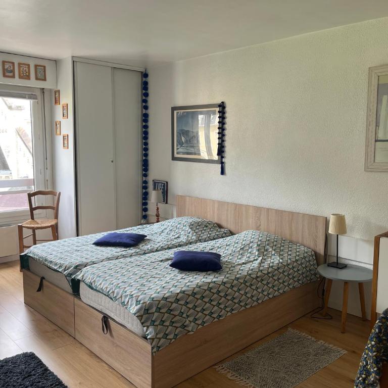 Appt cosy , vue sur le Revard , 5mn à pied du centre ville , 10mn à pied des thermes et de la gare - Studio - 5