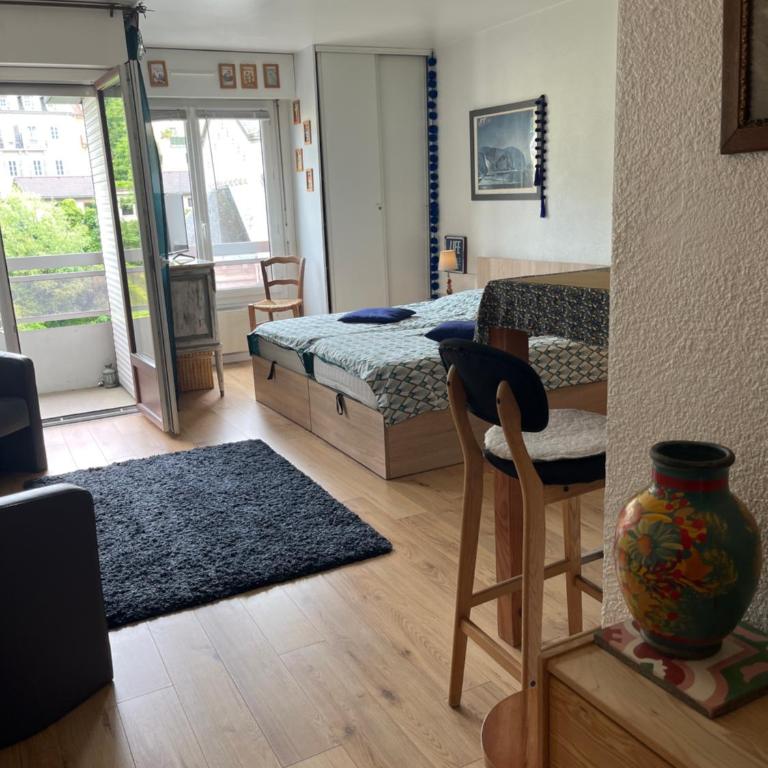 Appt cosy , vue sur le Revard , 5mn à pied du centre ville , 10mn à pied des thermes et de la gare - Studio - 10