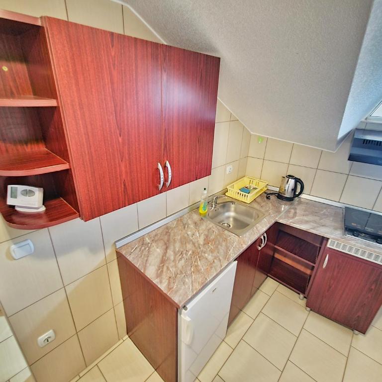 Vila Aleksandra 1 Sokobanja - Superior Apartman sa 1 Spavaćom Sobom - 14
