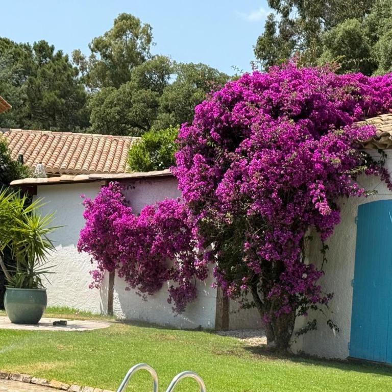 Villa Eleven StTropez Ramatuelle Pampelonne beach - Villa Superior - 32