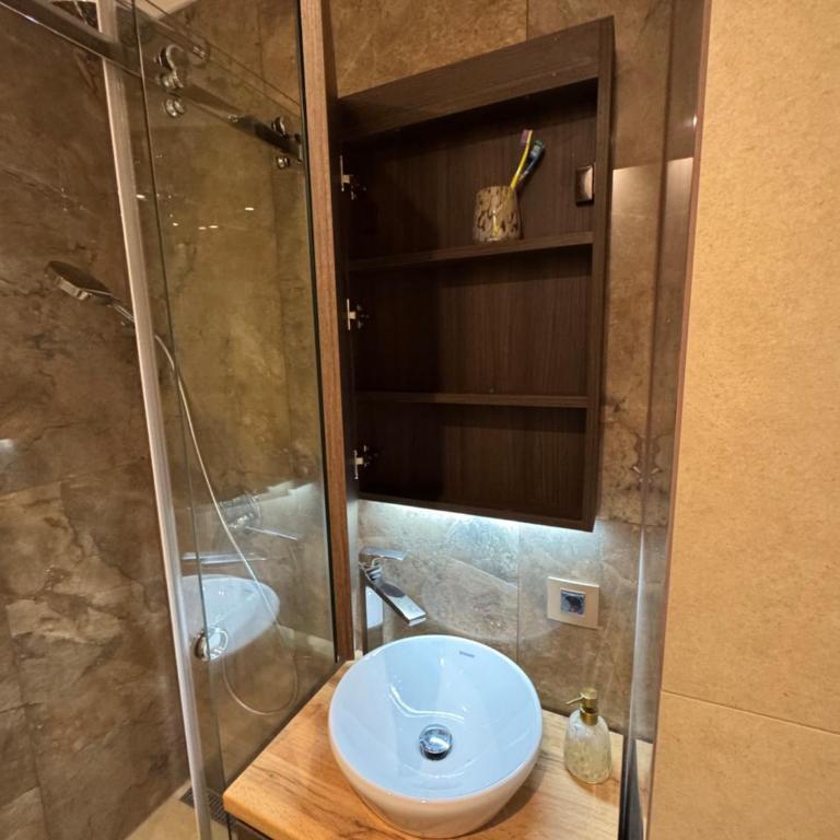 Banovo Brdo Apartman - U Zgradi Restorana Filter - One-Bedroom Apartment - 5