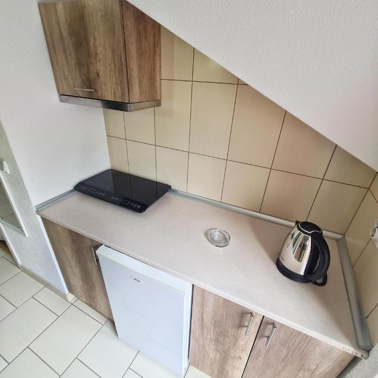 Vila Aleksandra 1 Sokobanja - Apartman s 1 Spavaćom Sobom i Terasom - 6