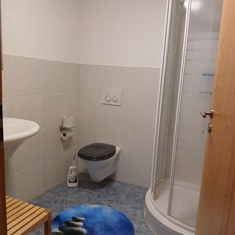 Ferienwohnung im Hinterland vom Bodensee - Apartment mit 2 Schlafzimmern und Bergblick - 12