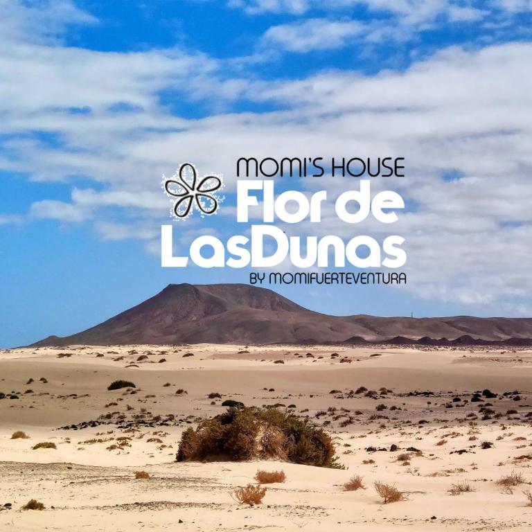 Flor de Las Dunas pools wifi tennis fibra 600mb - Apartamento de 1 dormitorio - 5