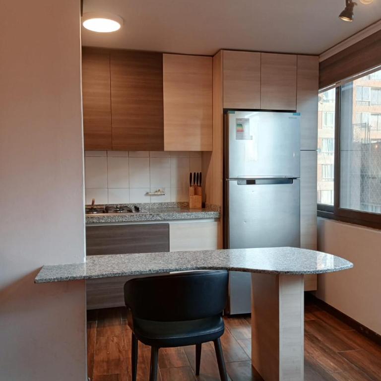 Confortable departamento en Santiago Centro con estacionamiento - One-Bedroom Apartment - 24