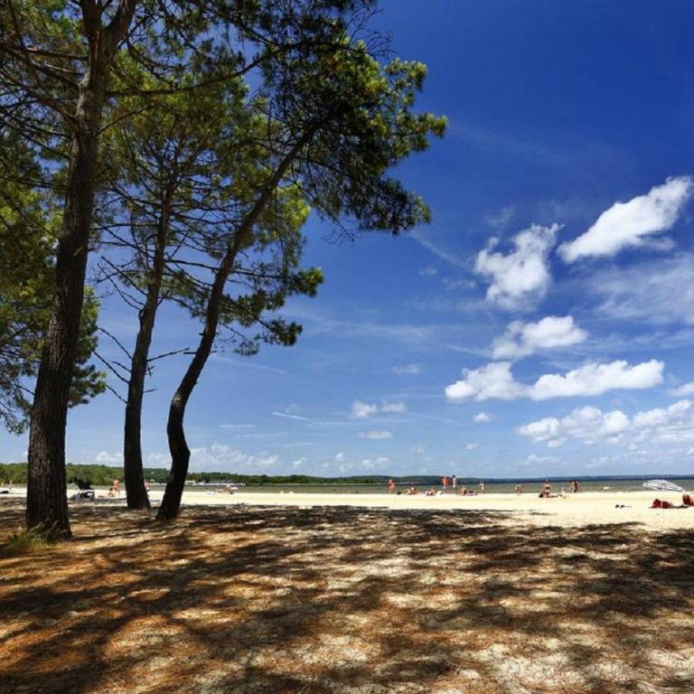 Maison proche plage Navarrosse - 6 pers. - FR-1-877-56 - Maison de Vacances - 26