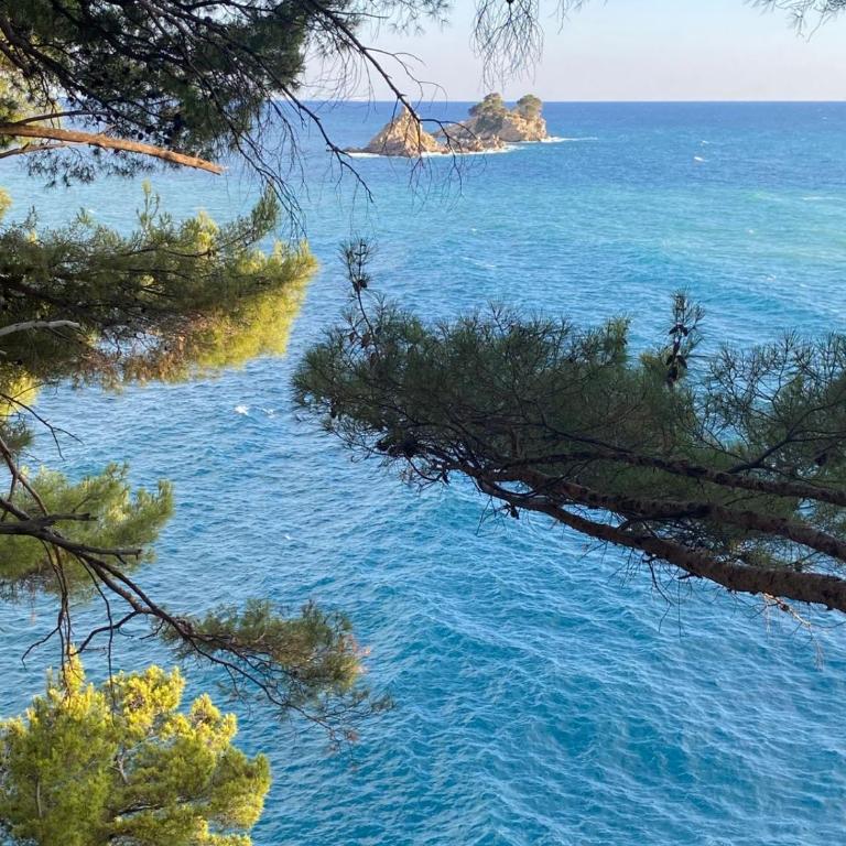 Njaro Del Mar Petrovac Bay 2 - Appartement 2 Chambres - 4