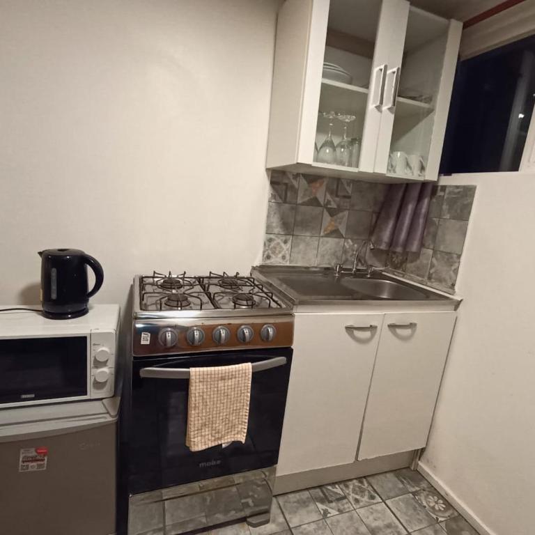 Lepihue III - Apartamento de 1 dormitorio - 4