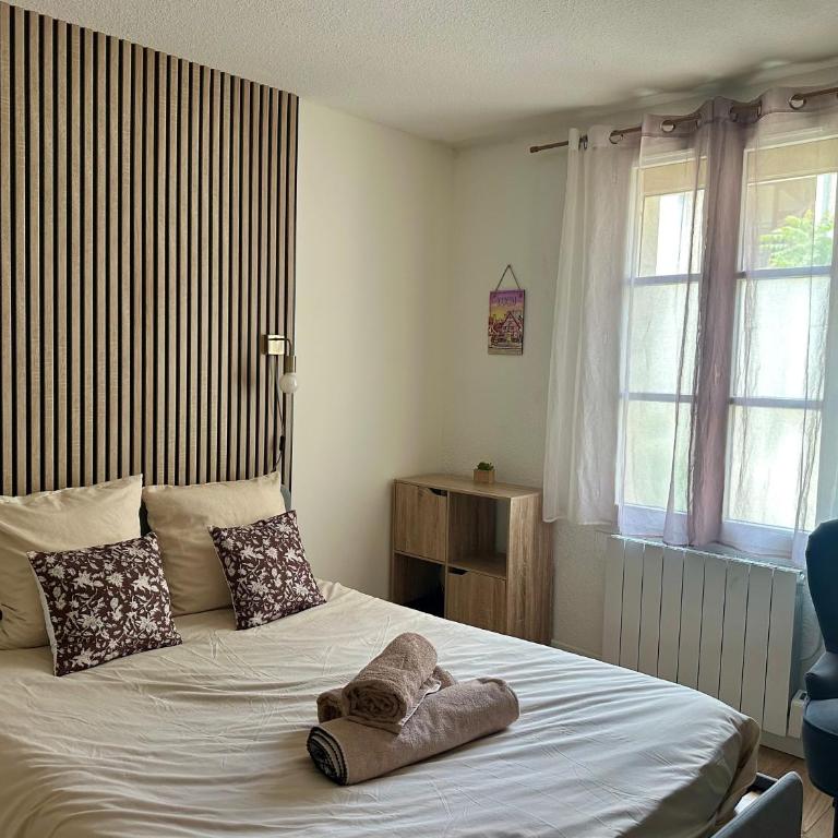 Studio coeur de Dijon - Apartment mit 1 Schlafzimmer - 61