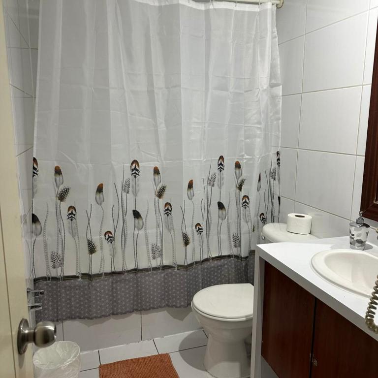 Hermoso Loft en Santiago - One-Bedroom Apartment - 13