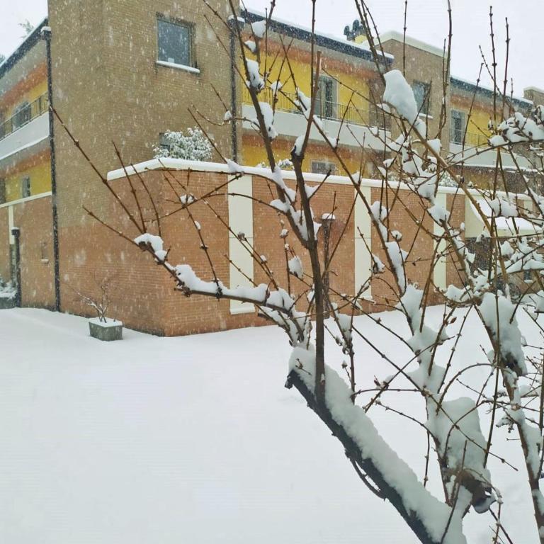 Le Mele - Alle 5 Torri - Apartamento de 1 dormitorio - 10