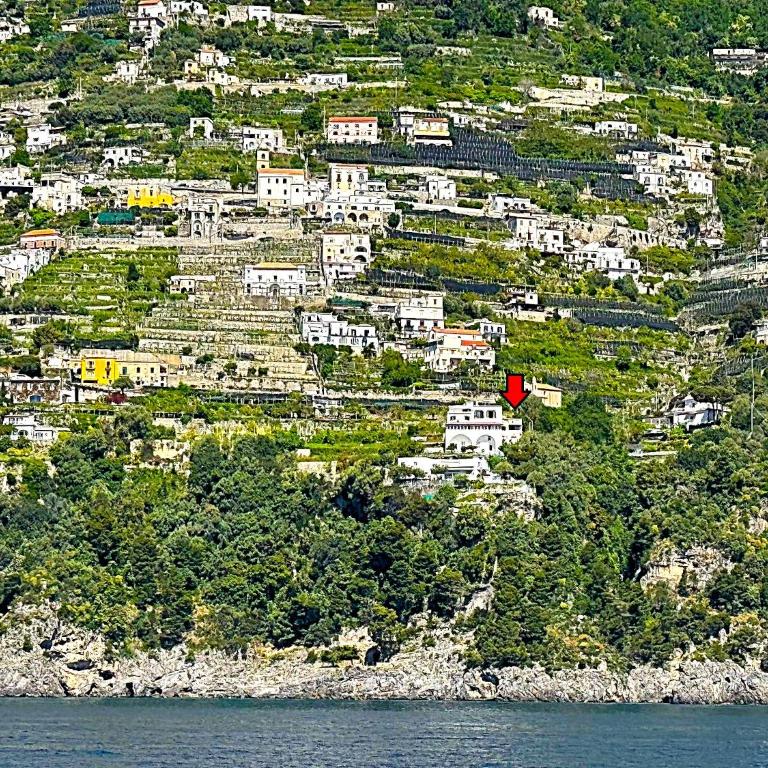 Blue Lagoon - Villa Standard - 13