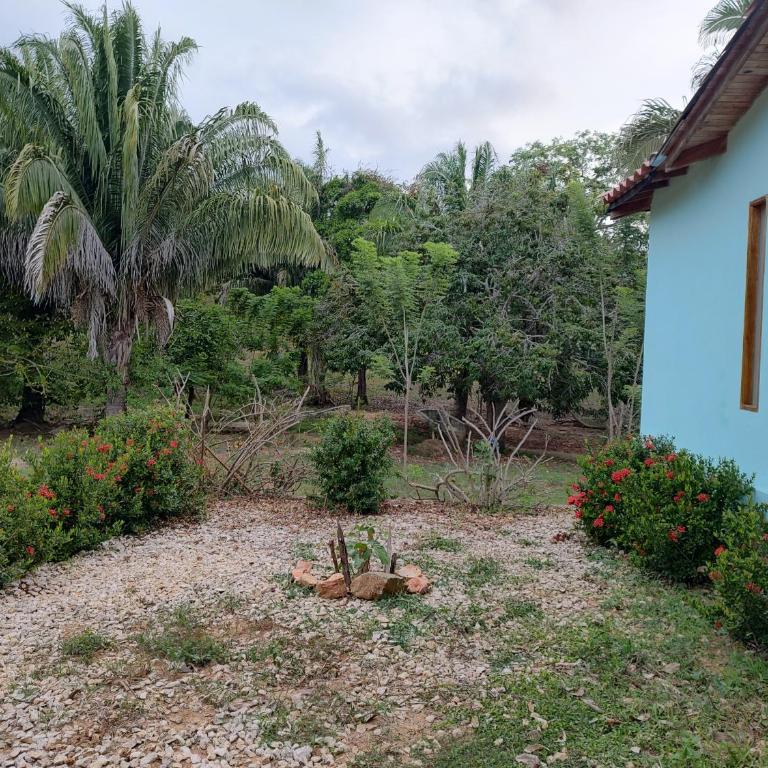 Serena Grau - Three-Bedroom House - 11