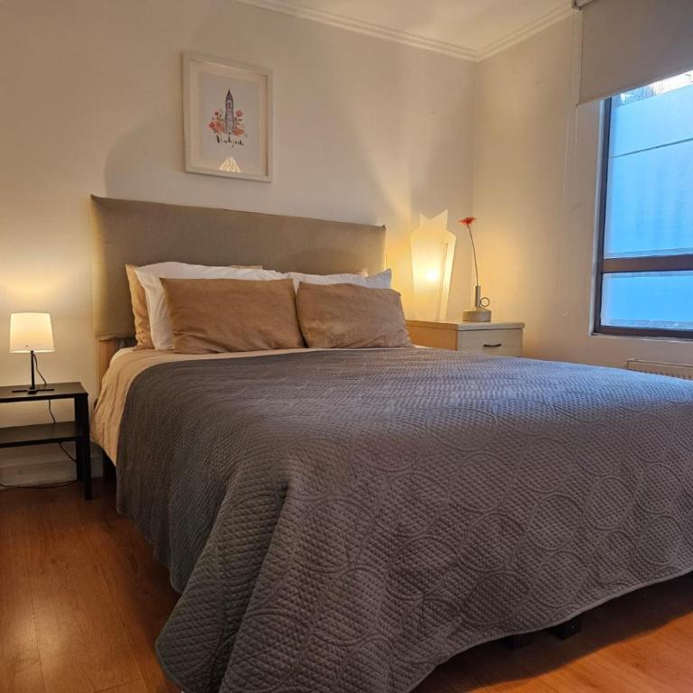 Acogedor Depto 1D en Excelente Ubicación Lastarria - Apartamento de 1 dormitorio - 2