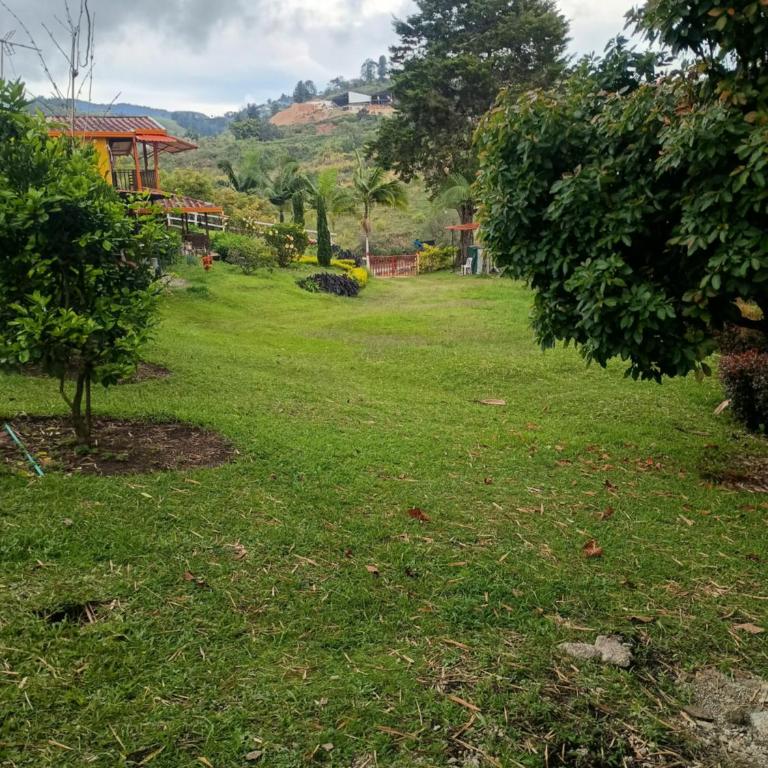 PUEBlA - One-Bedroom House - 4