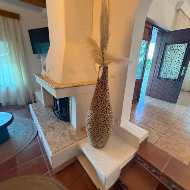 Ibiza villa aura - Apartamento de 4 habitaciones - 99