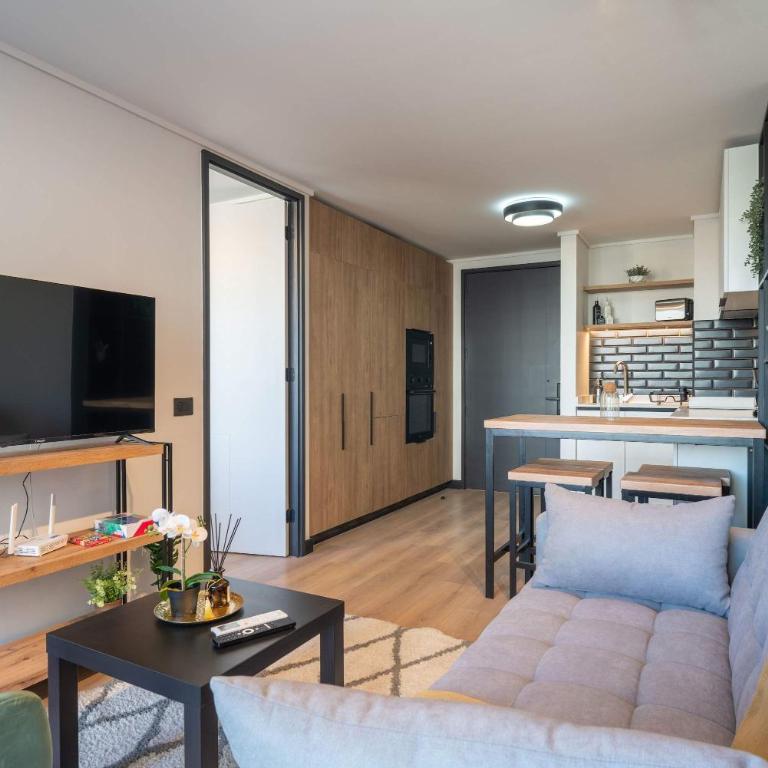 HOM I Cowork I GYM I Cerca a Barrio Italia I Nunoa - Apartamento - 8
