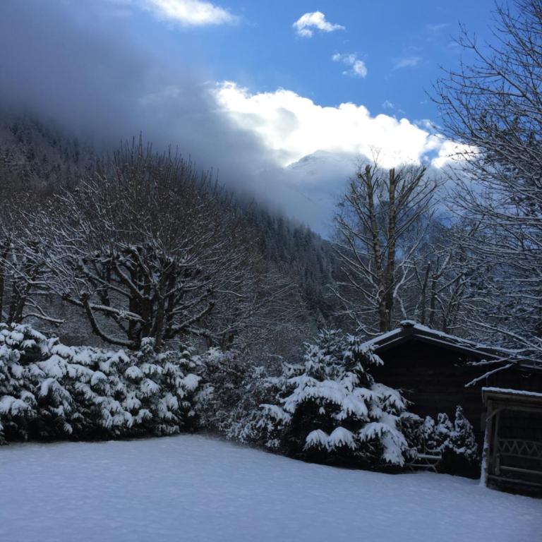 chalet des petits loups - Chalet mit 2 Schlafzimmern - 31