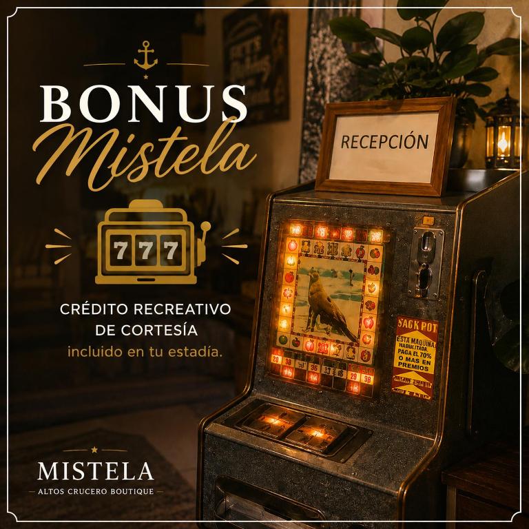 Mistela Altos Crucero Boutique - Camarotes temáticos - Zona Residencial Ciudad - Viajes al Aeropuerto - - Apartamento Deluxe de 2 dormitorios - 28