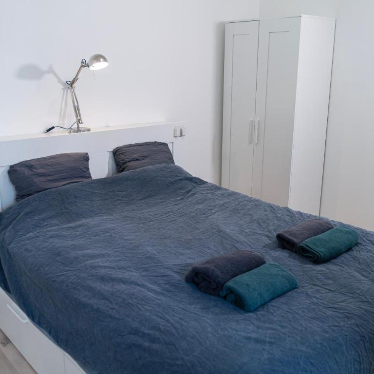 Charming Annecy Old Town Apartment, steps away from the Lake - Apartment mit 2 Schlafzimmern - 16