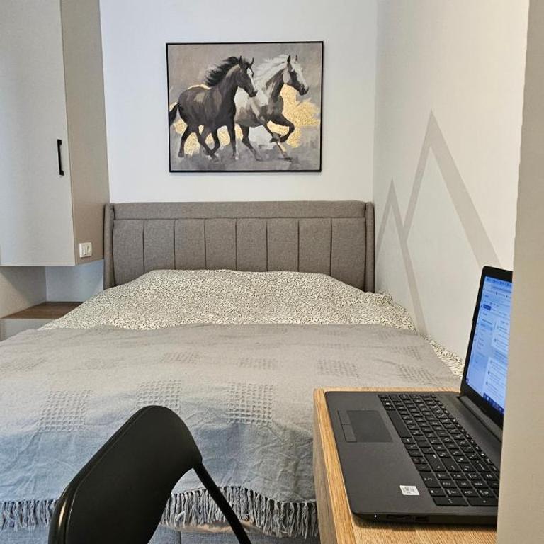 Valena 1 - Divčibare Free private Parking - Apartman s 1 Spavaćom Sobom i Balkonom - 2