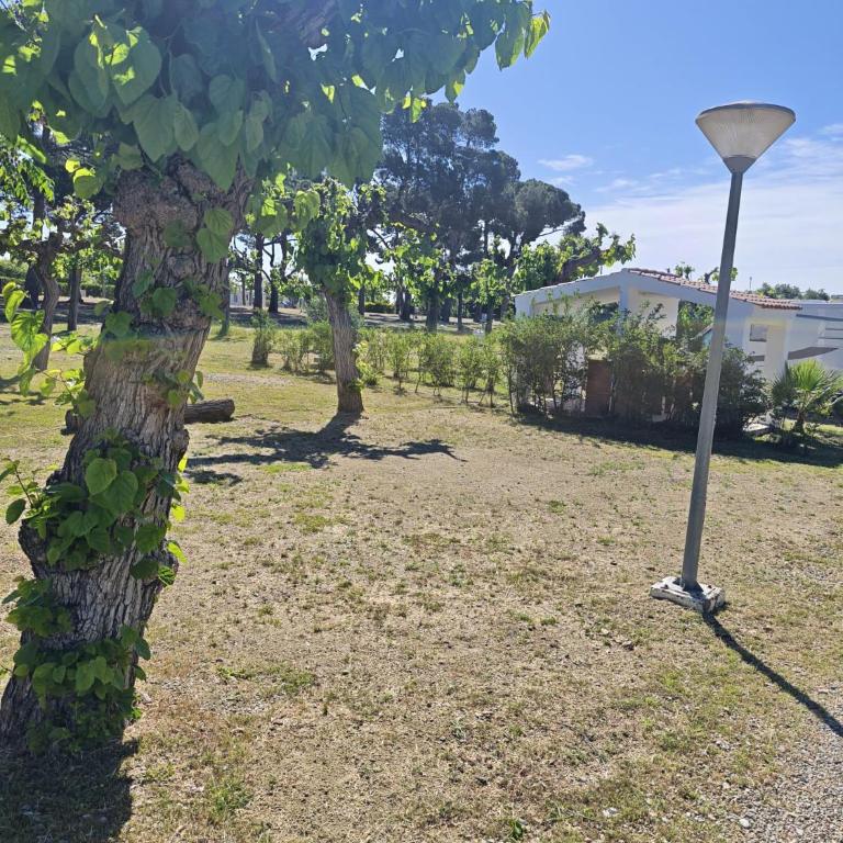 Camping Cambrils Caban - Parcela Premium vacía con electricidad - Para caravana, tienda o furgoneta - Hay que llevar tienda, caravana o furgoneta propias - 7