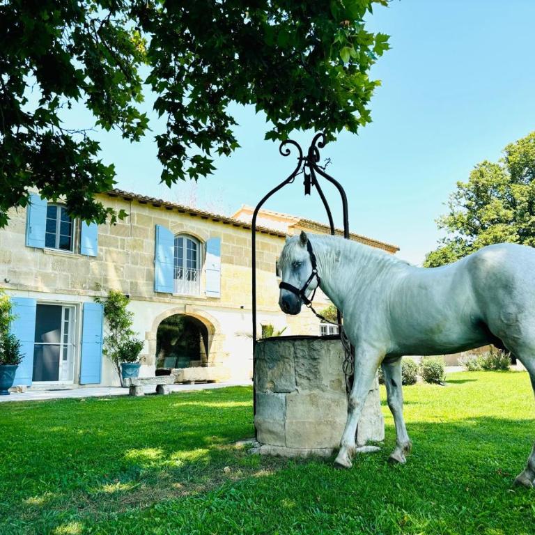 Mas D'Images by Henk van Cauwenbergh - Villa avec Piscine Privée - 66