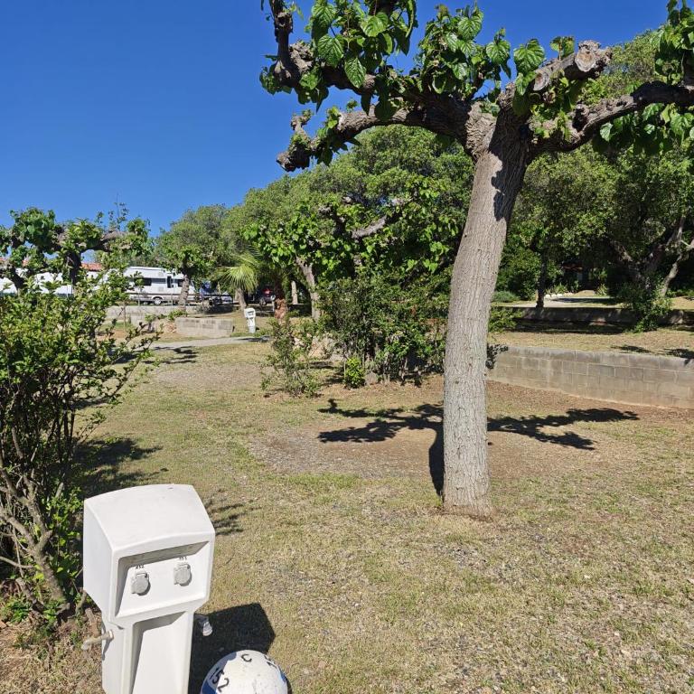 Camping Cambrils Caban - Parcela Confort vacía con electricidad - Para caravana, tienda o furgoneta - Hay que llevar tienda, caravana o furgoneta propias - 6