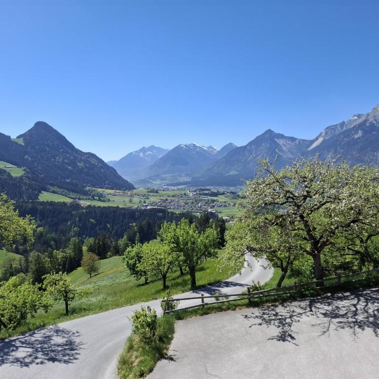 Hotel & Alpengasthof Pinzgerhof - Apartment mit 2 Schlafzimmern und Aussicht - 1