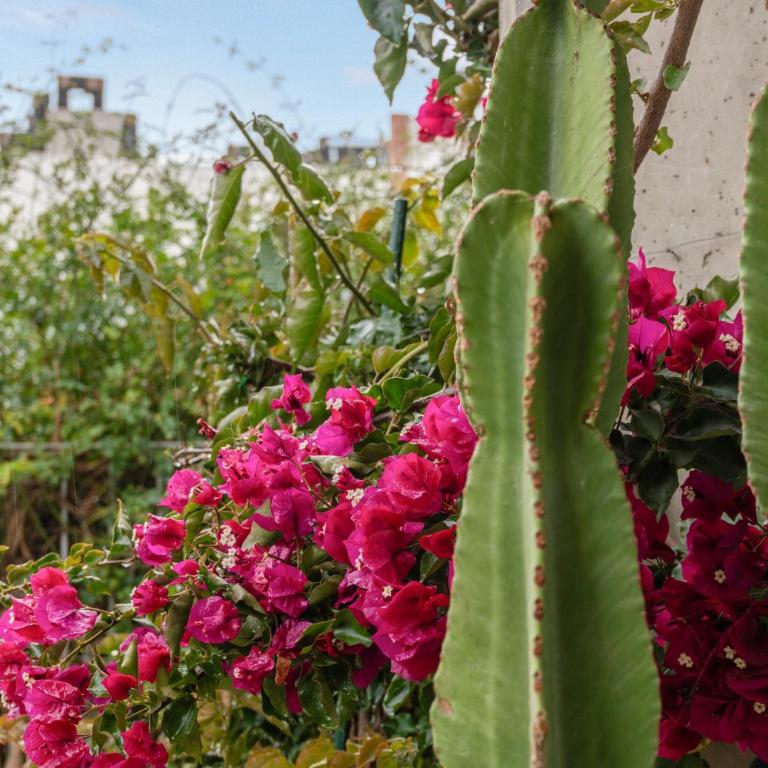 Bonita Planta Baja En Estepona - Apartamento con terraza - 28