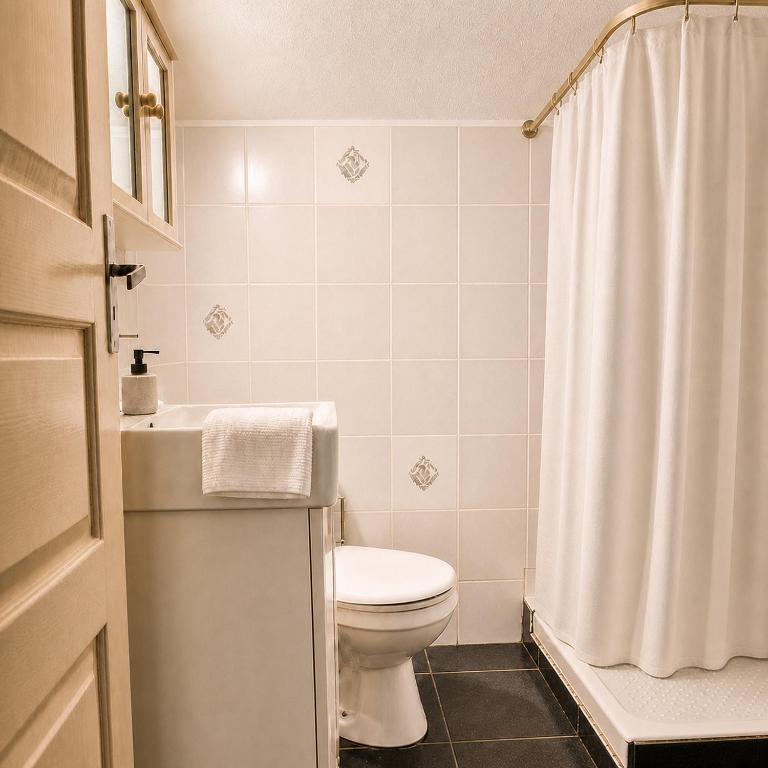 Grand Chalet Allemond Huez - Chalet Supérieur - 14